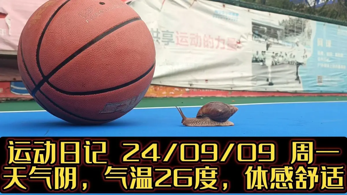 篮球周期训练计划怎么写的_0
